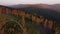 Aerial view of the sunset passing through the coniferous trees, creating a magical place