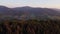 Aerial view of the sunset passing through the coniferous trees, creating a magical place