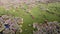 Aerial view sunshine over wetland