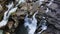 Aerial view on the surface of a mountain river. Small drops with blue water. top view of the stream flowing between the rocks, bot