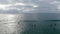 Aerial view of surfers waiting, paddling and enjoying waves