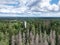 Aerial view of Suure Munamae observation tower in Estonia