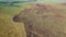 Aerial view swamp after forest fire. Ecological problem