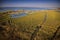 Aerial view swamp Viareggio