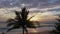 Aerial view sweet sky in sunset above coconut trees.