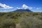 aerial view of Taman Nasional Baluran or Baluran National Park, Situbondo, East Java, Indonesia