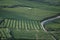 Aerial view of tea fields in Hangzhou on the mountain slopes, in China