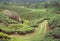 Aerial view of tea gardens in misty Kanan Devan Hills in Munnar Kerala, India