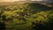 Aerial view of tea plantation is foggy in the morning, vietnam. Generative Ai