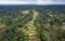 Aerial View of Tegallalang Rice Terrace. Ubud Bali - Indonesia