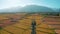 Aerial view of Telecommunication antenna tower of 4G and 5G cellular