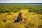 aerial view of termite mound landscape in savannah