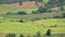 Aerial view of terraced rice fields with houses