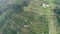 Aerial view of terraced vineyards in Portugal