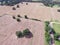 Aerial view Texas farmland prairie field bale hay on sunny day