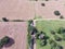 Aerial view Texas farmland prairie field bale hay on sunny day