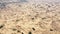 Aerial View of the Textures and Patterns of the Desert Sands. Beautiful landscape . Desert and green bushes