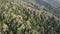 Aerial view thick dense tropical rainforest