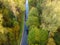 Aerial view of thick forest in autumn