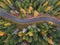 Aerial view of thick forest in autumn with road cutting through