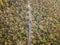 Aerial view of thick forest on the hills with road cutting through in the countryside of Northern Thailand.