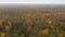 Aerial view of thick golden forest in autumn