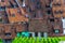 aerial view of a tiled roof and a vineyard in the swiss city schaffhausen...IMAGE