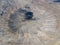 Aerial view of Timanfaya, national park, Caldera Blanca, interior of the crater. Lanzarote, Canary Islands, Spain