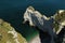 Aerial View To A Dog On The Beach At The White Cliffs Of Falaise d\\\'Amont In Etretat Normandy France