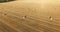 Aerial view to golden field with roll bales of wheat straw at sunset