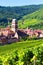 Aerial view to Kaysersberg village