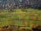 Aerial view to vineyard at village in Indian summer