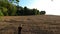 Aerial view to young man walking in field with trees in sunset, Czech republic