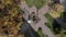 Aerial View from the top Bride strolling in the Park opposite each other. The view from the drone for a walk the