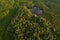 Aerial view top down of beautiful mangrove forest tree in the morning