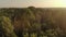 Aerial view of the tops of coniferous and deciduous trees with the soft light of the rising sun