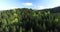 Aerial view. Tops tall fir trees on mountainside