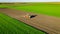 Aerial view of tractor as dragging a sowing machine over agricultural field, farmland