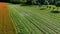 Aerial view of a tractor cutting tall grass to make fodder for animals, with a field of poppies beside it