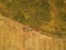 Aerial view of tractor making hay bale rolls in field