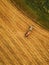 Aerial view of tractor making hay bale rolls in field