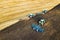 Aerial view of a tractor plowing black agriculture farm field after harvesting in late autumn