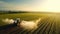 Aerial view of a tractor spraying agricultural fields. spraying herbicides on the field