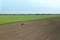 Aerial view Tractor spraying chemicals on the large field.