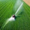 Aerial view tractor spraying the chemicals on the large green