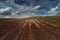 Aerial view of tractor spraying vineyard field with fungicide