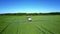 Aerial view tractor sprinkles rapeseed field with chemicals