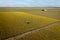 Aerial View of a Tractor Tilling the Rows of Daffodils in a Farm Field.