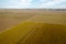 Aerial View of a Tractor Tilling the Rows of Daffodils in a Farm Field.