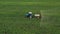 Aerial view of tractor treats agricultural plants on the field